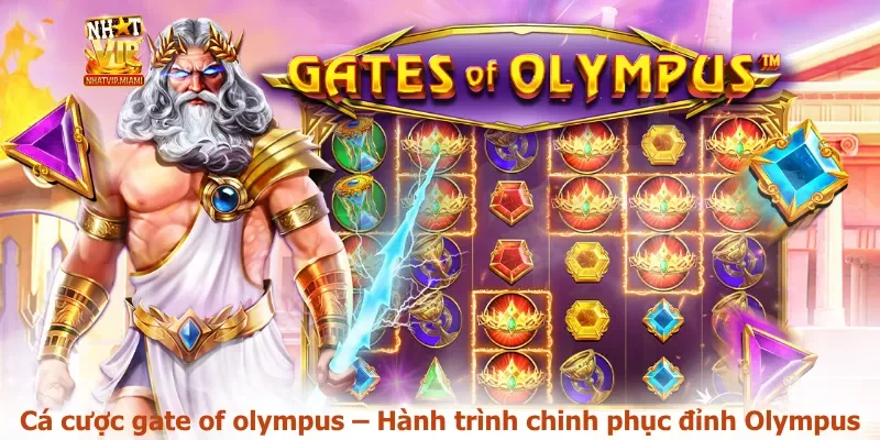 Cá cược gate of olympus – Hành trình chinh phục đỉnh Olympus